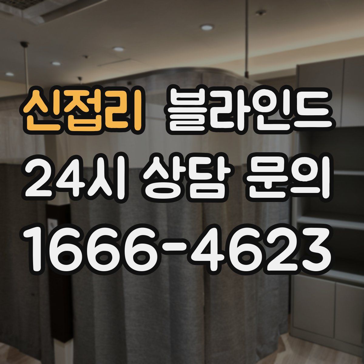 신접리 블라인드