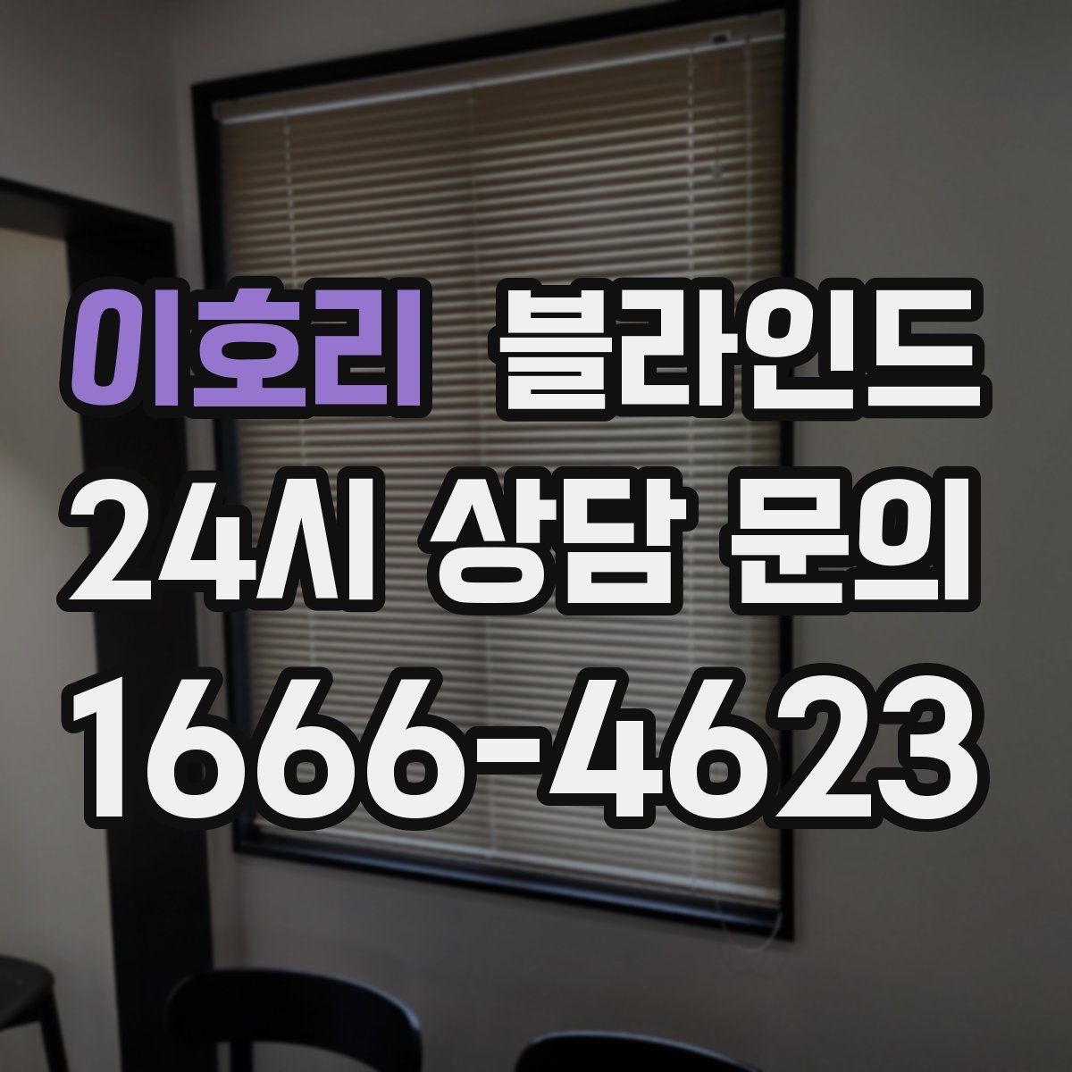 이호리 블라인드