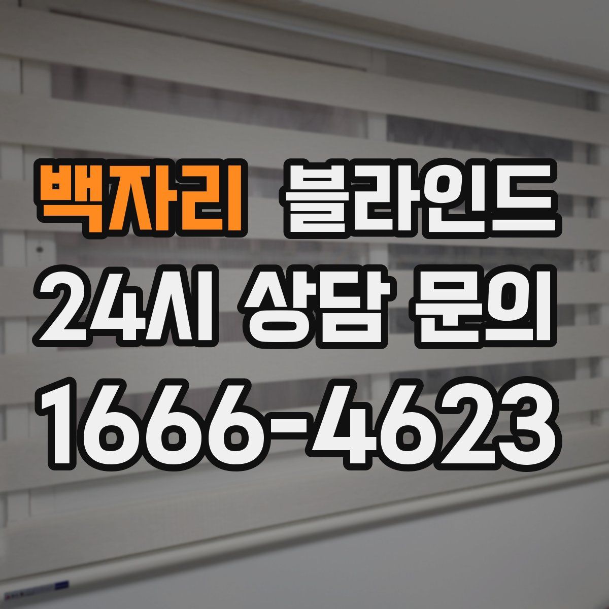 백자리 블라인드