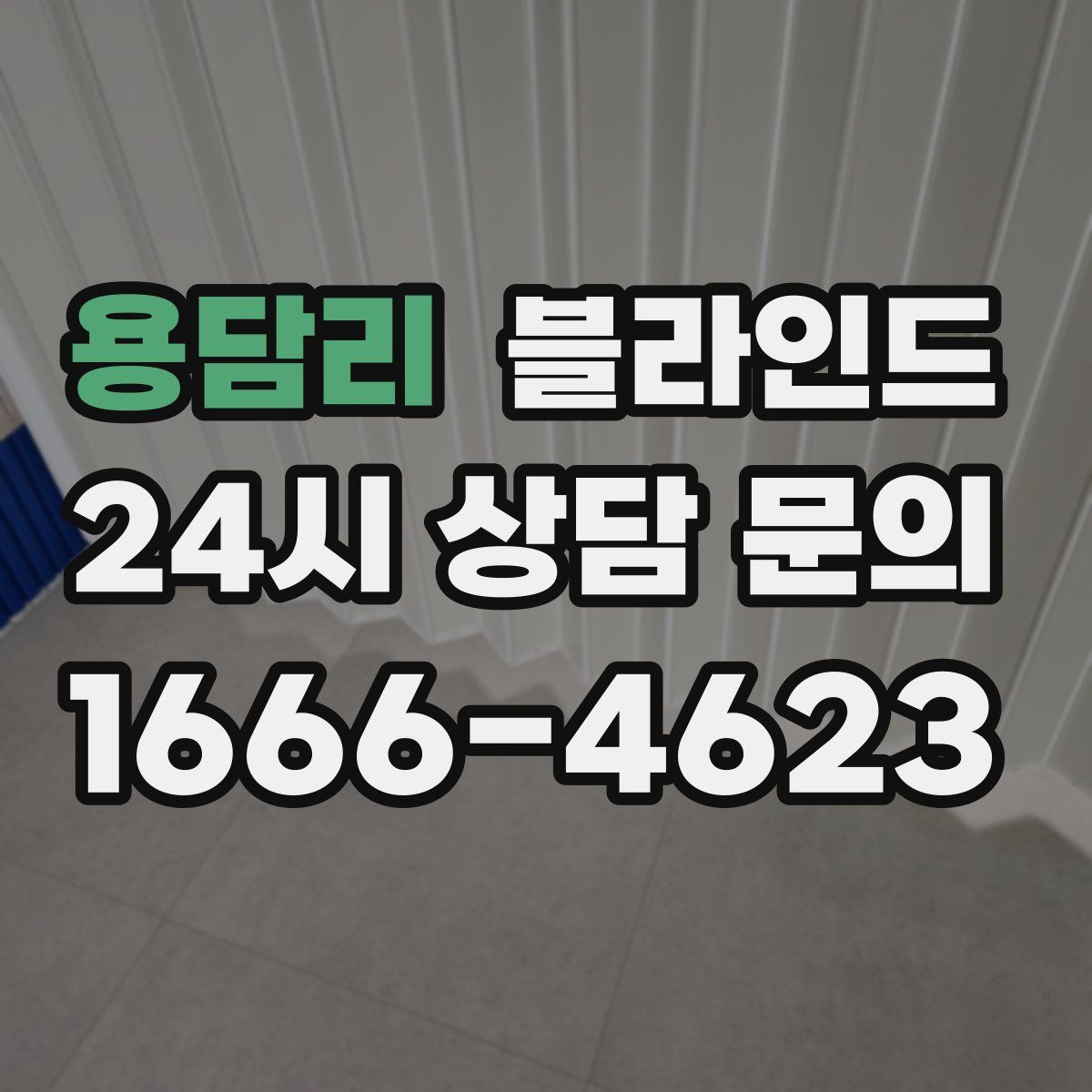 용담리 블라인드
