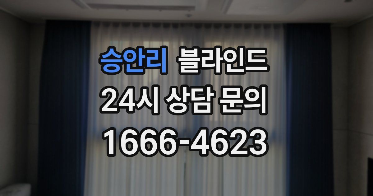 승안리 블라인드