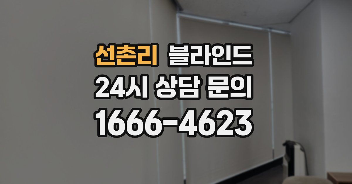 선촌리 블라인드