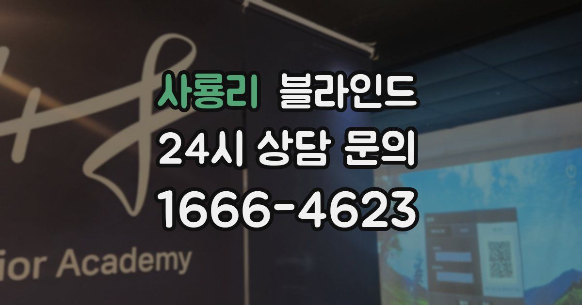 사룡리 블라인드