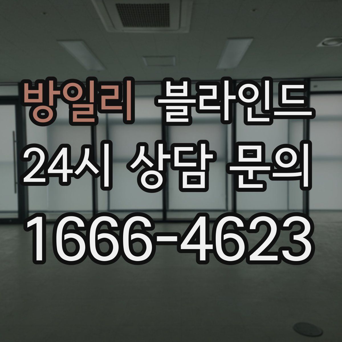 방일리 블라인드