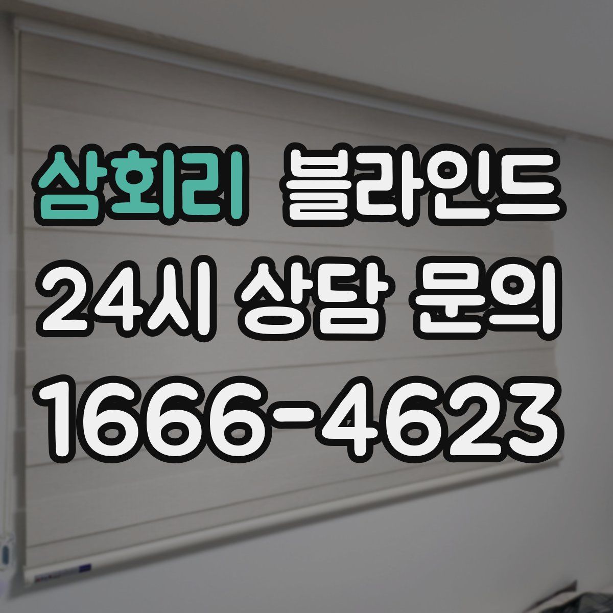 삼회리 블라인드