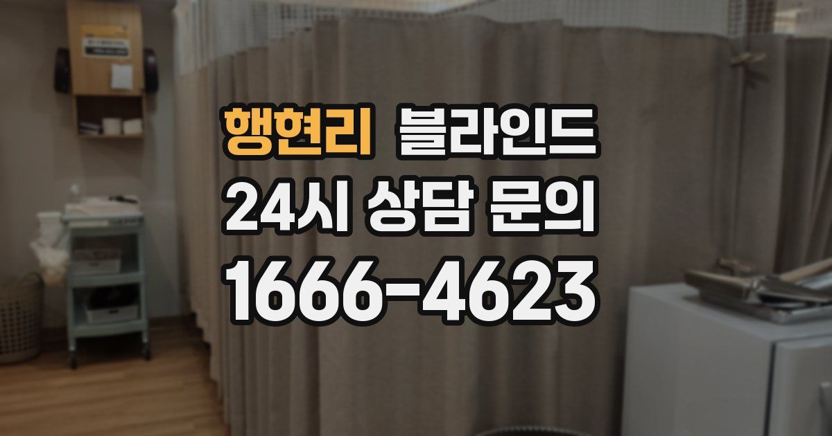행현리 블라인드