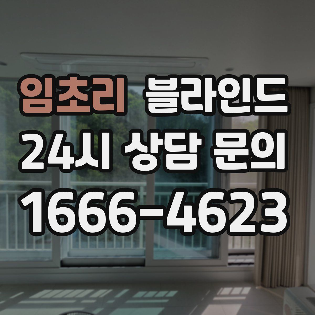 임초리 블라인드
