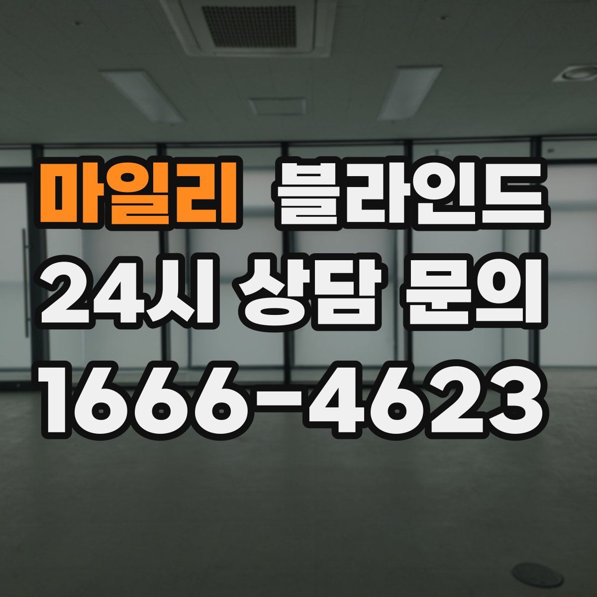 마일리 블라인드