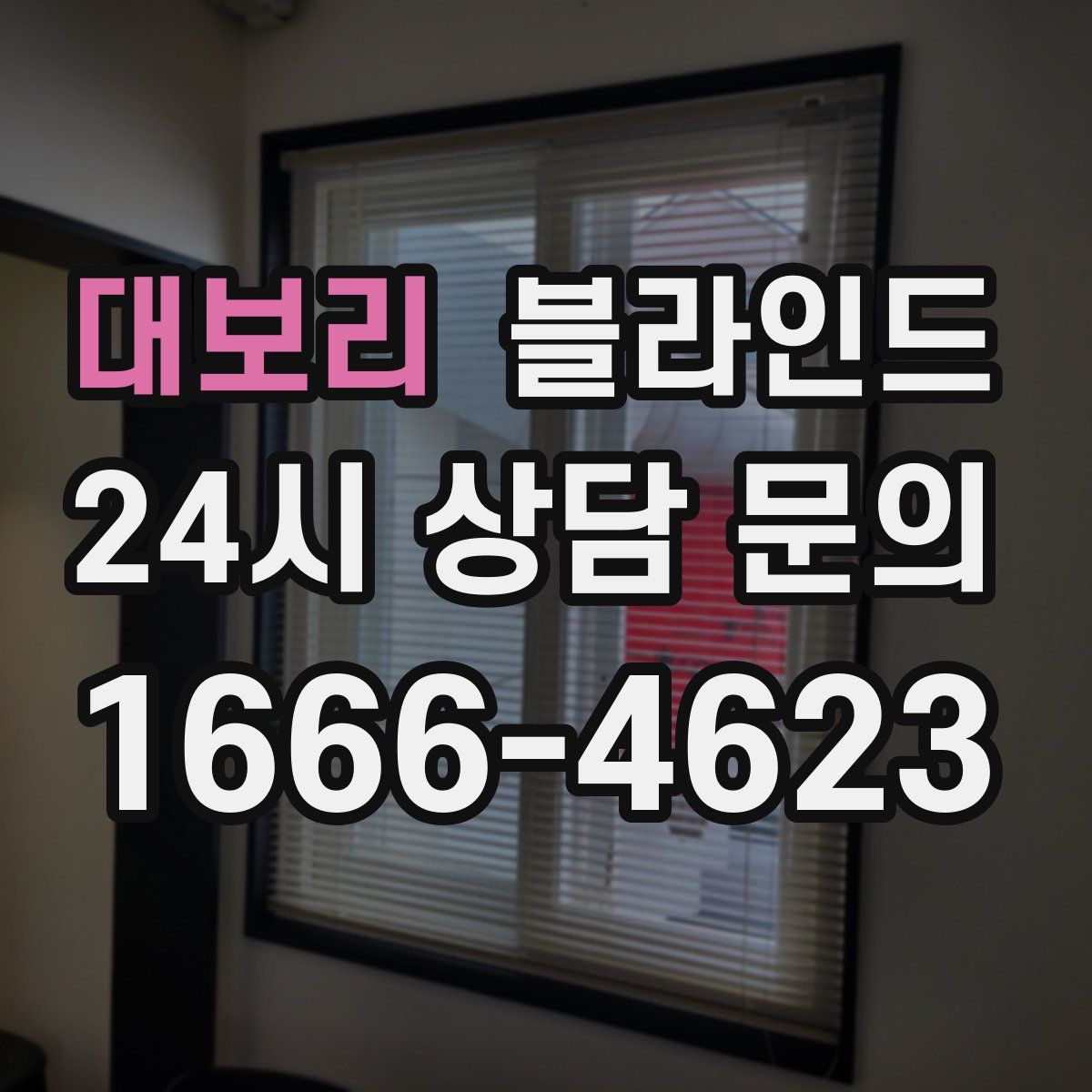 대보리 블라인드