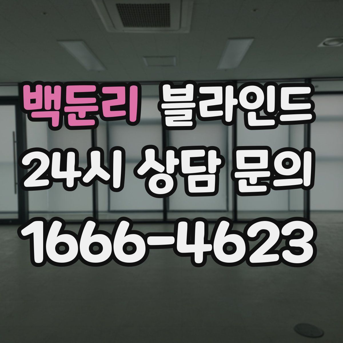 백둔리 블라인드