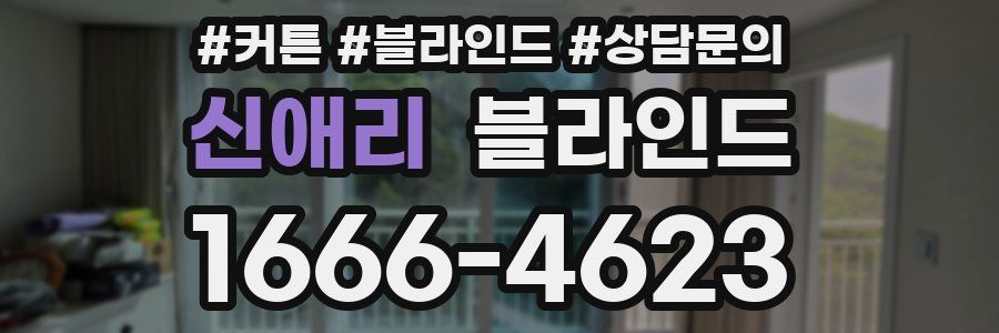 신애리 블라인드