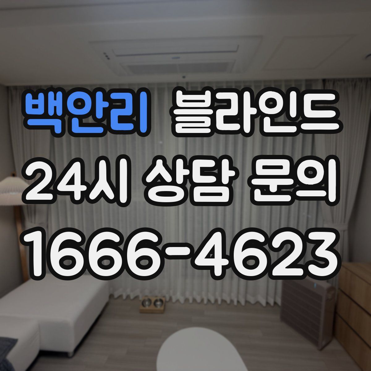 백안리 블라인드