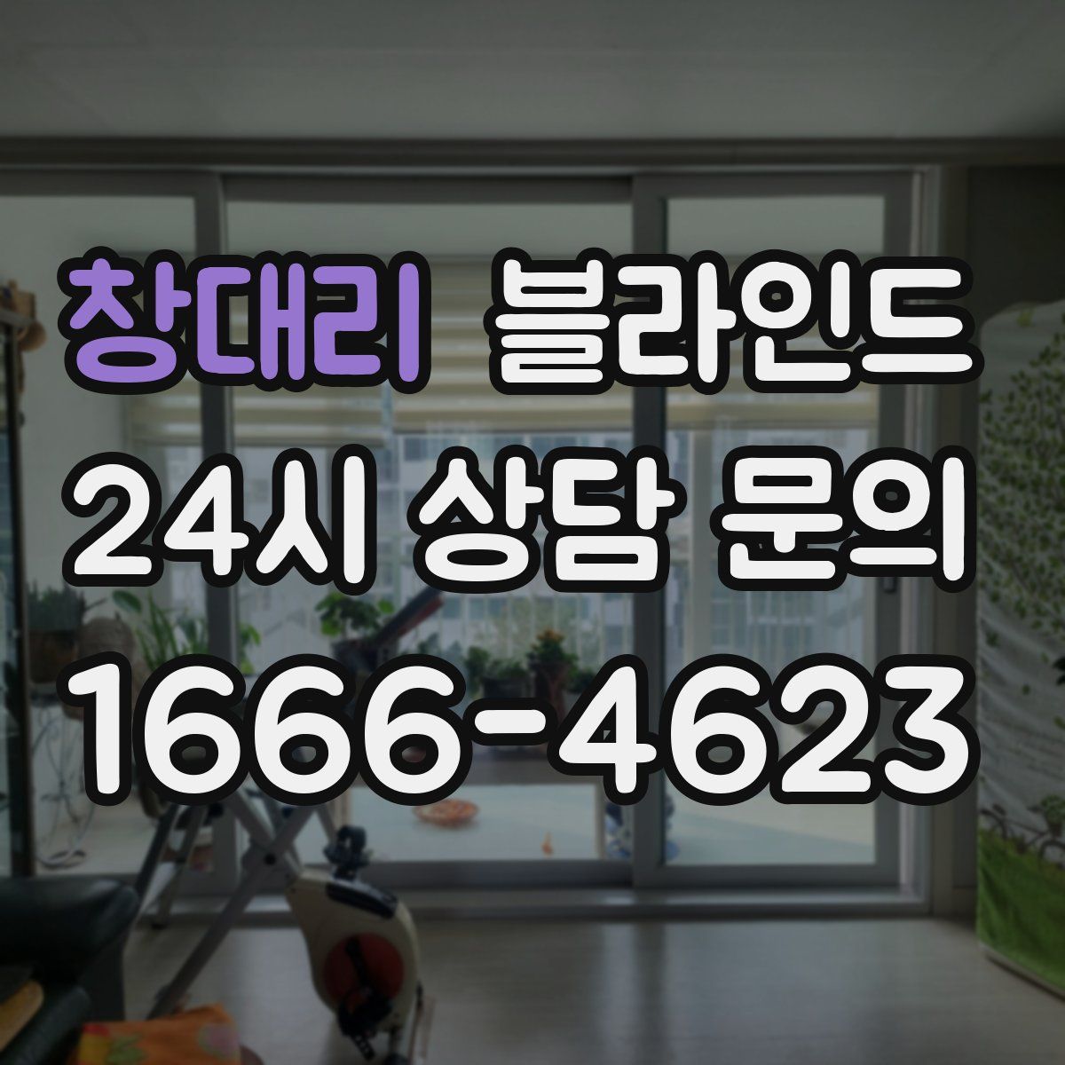 창대리 블라인드
