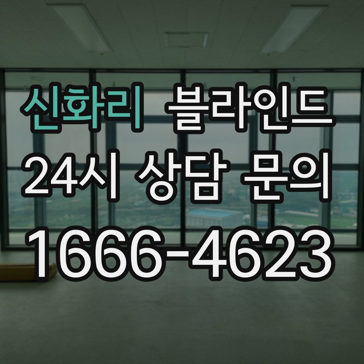 신화리 블라인드