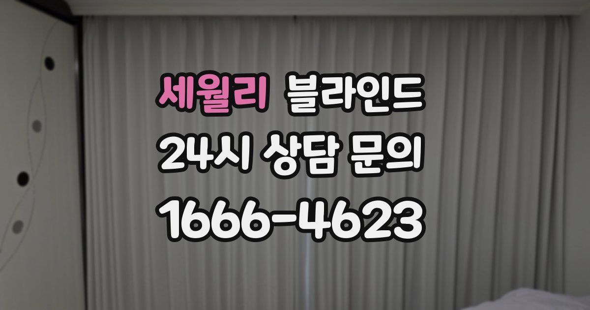 세월리 블라인드