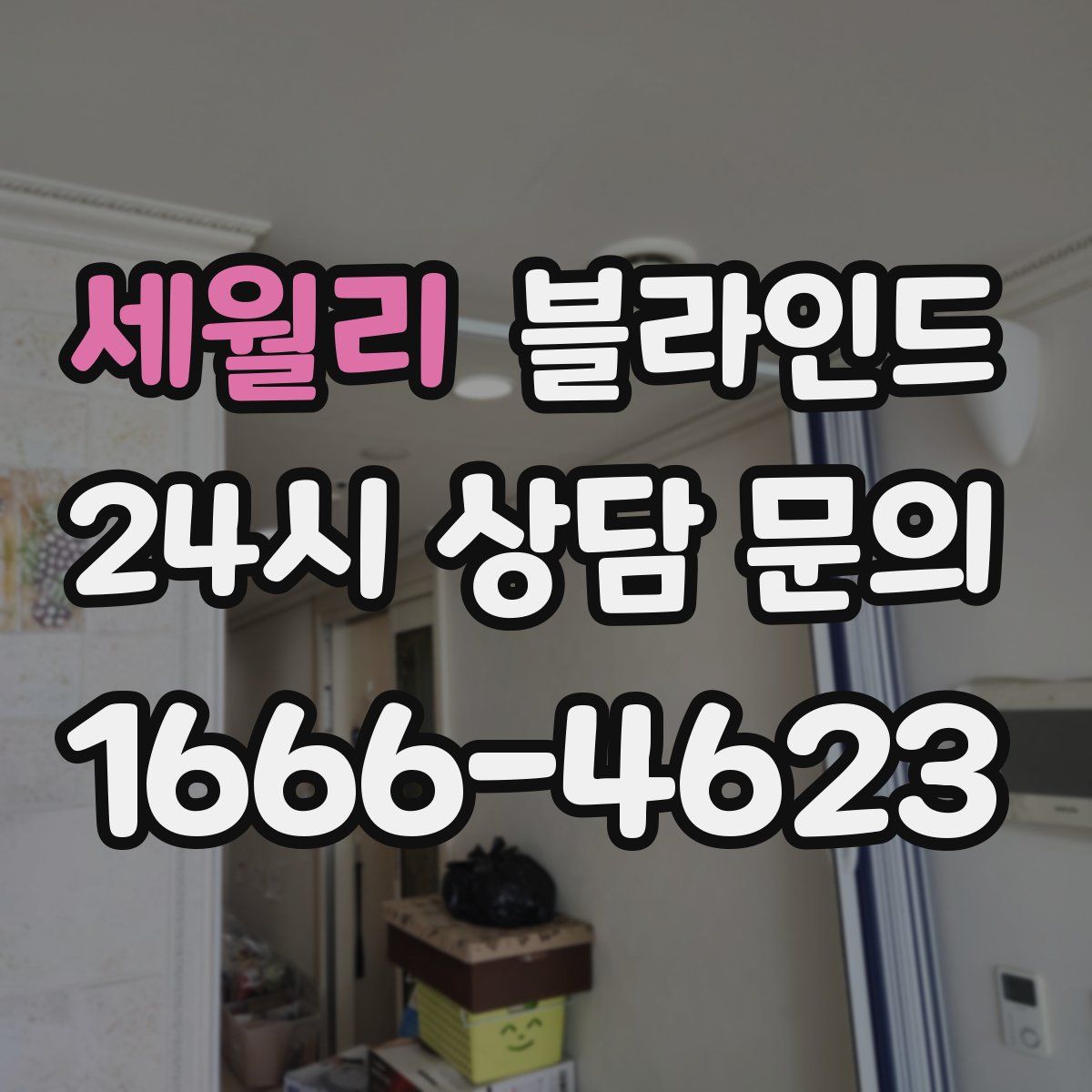 세월리 블라인드