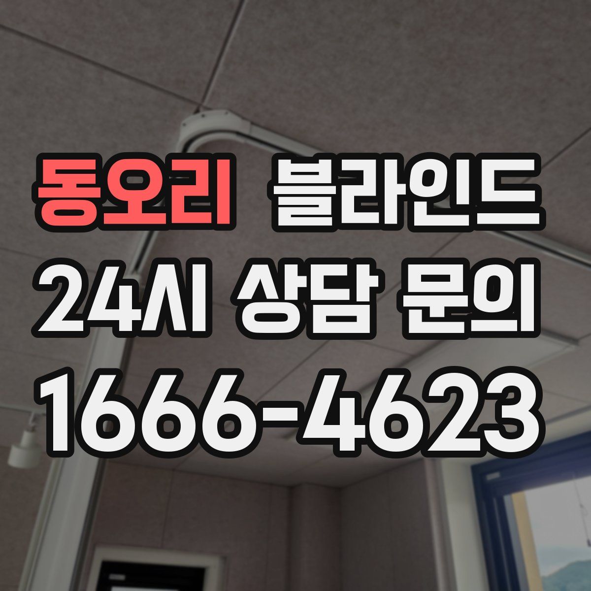 동오리 블라인드