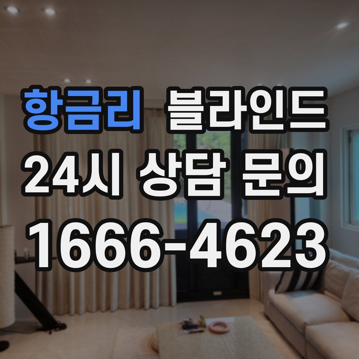 항금리 블라인드