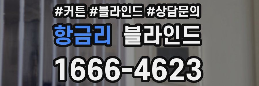 항금리 블라인드