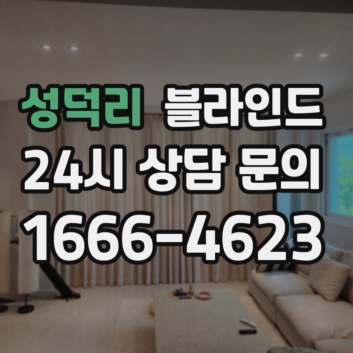 성덕리 블라인드