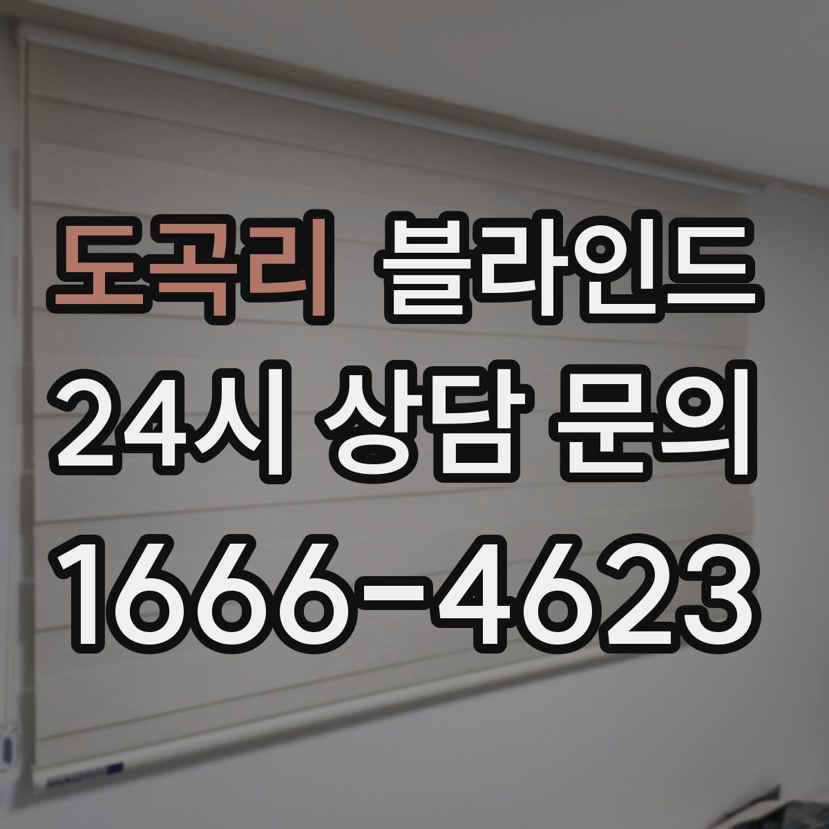 도곡리 블라인드