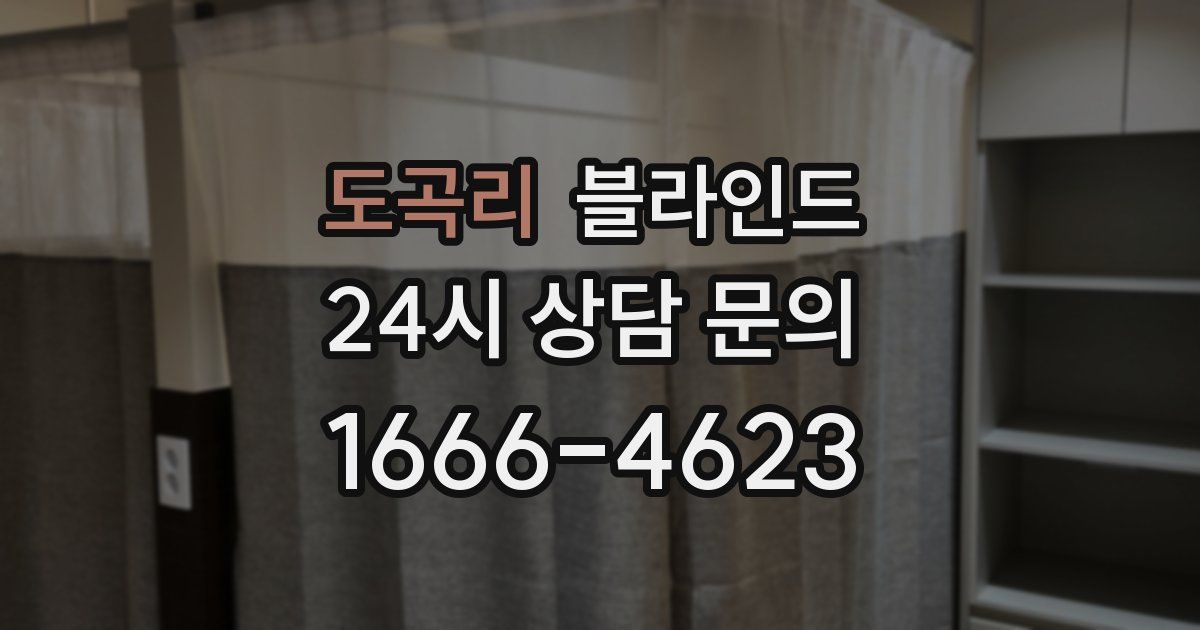 도곡리 블라인드