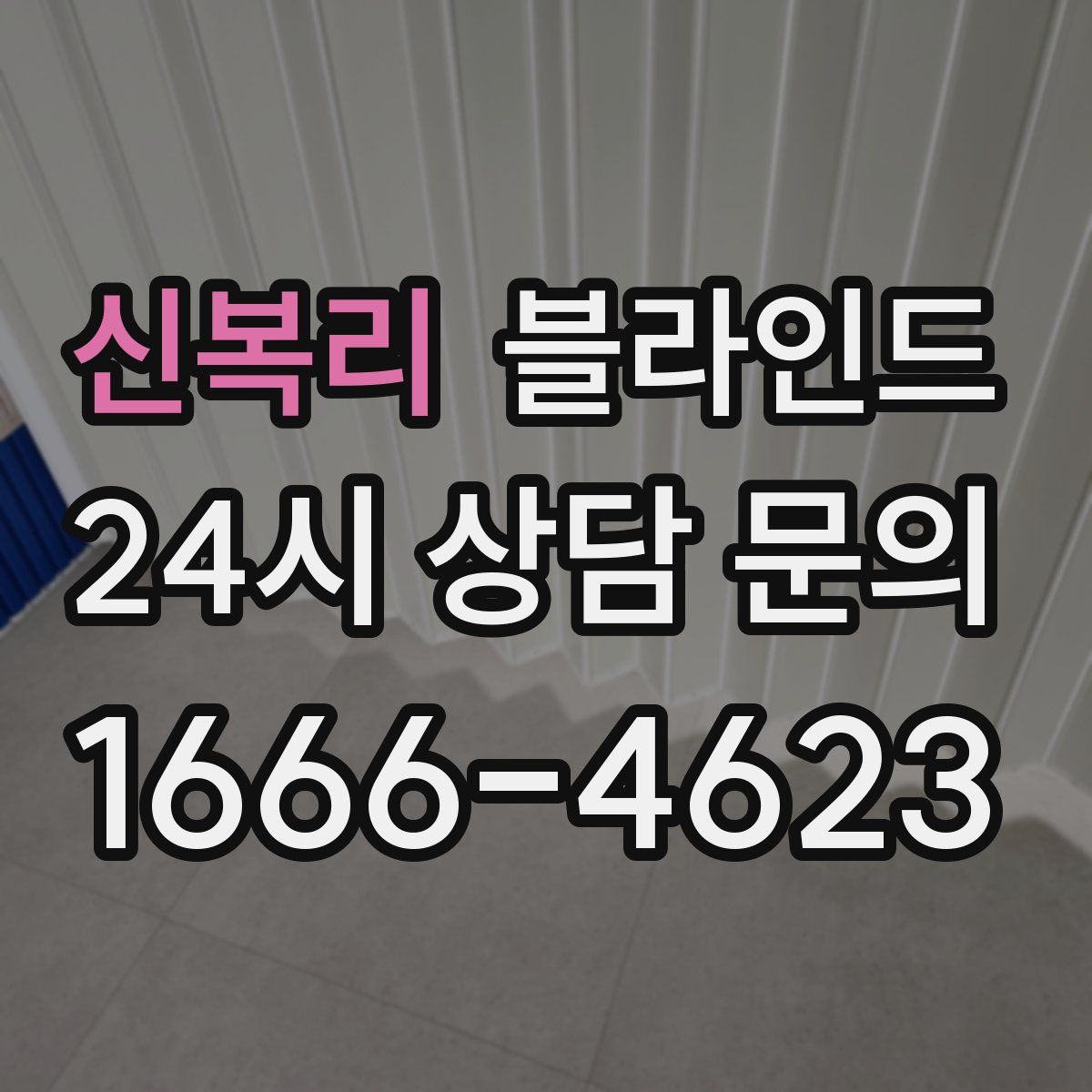신복리 블라인드