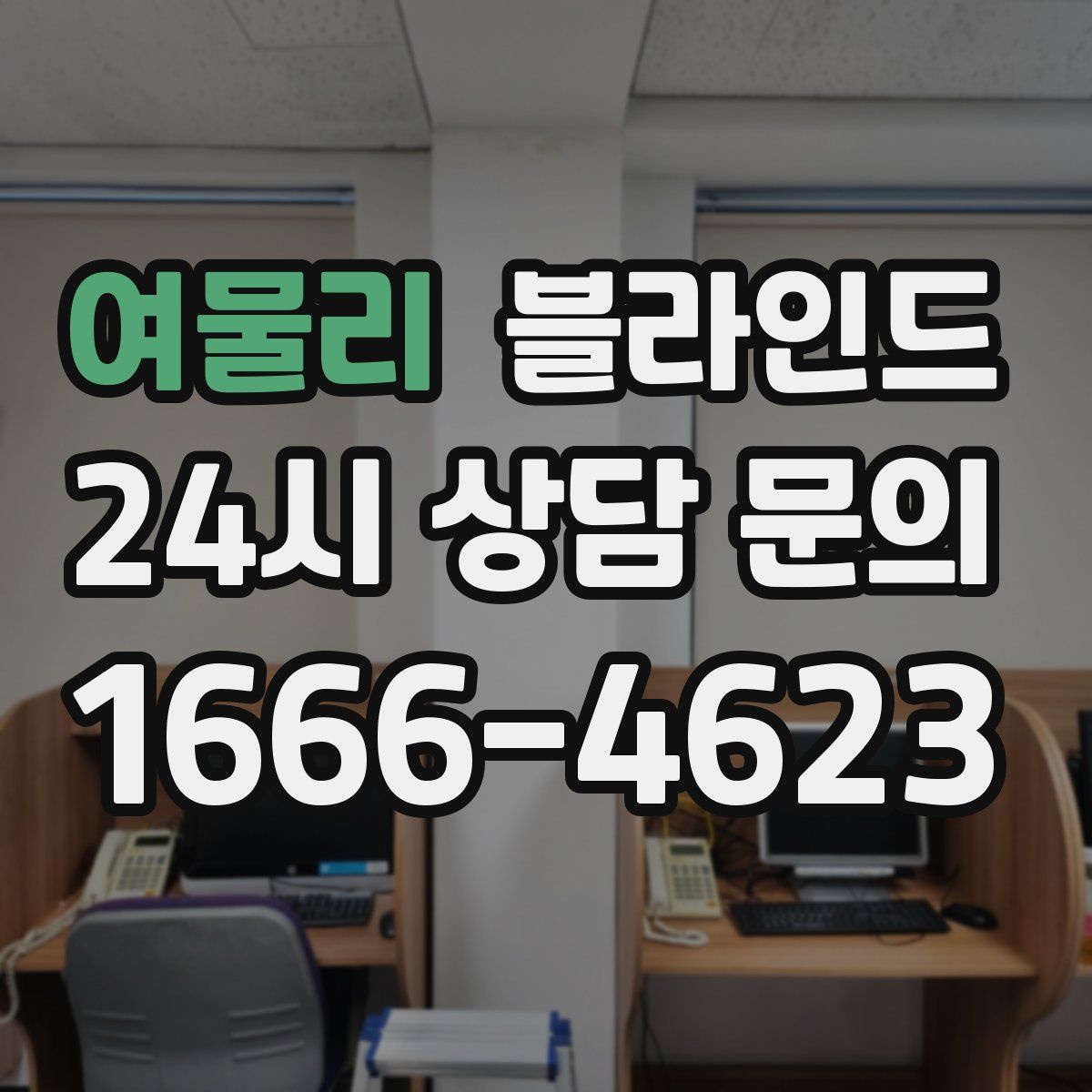 여물리 블라인드