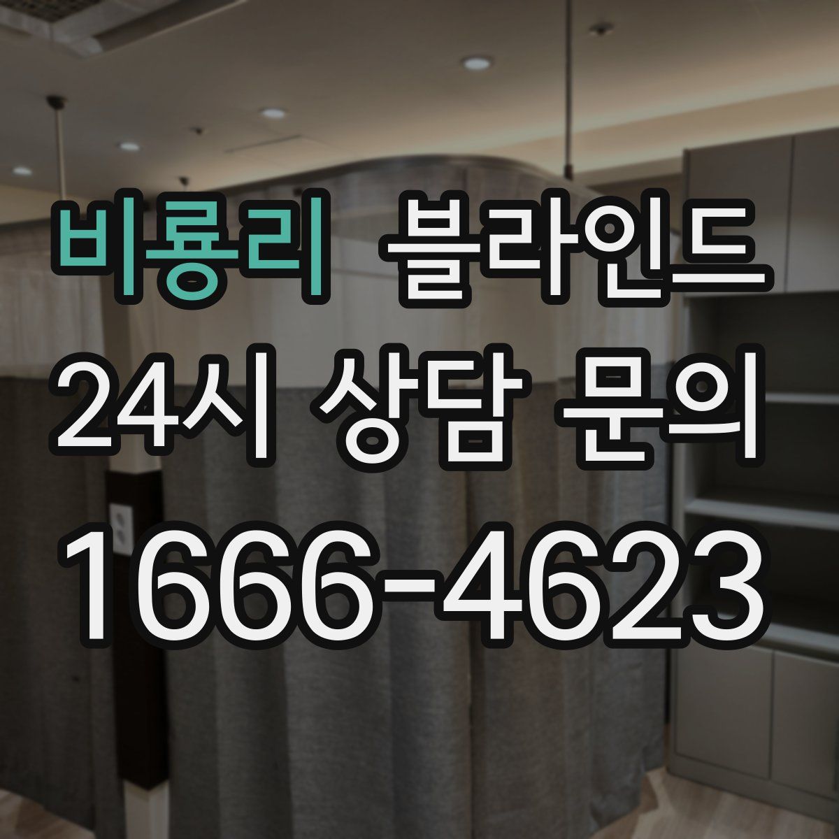 비룡리 블라인드