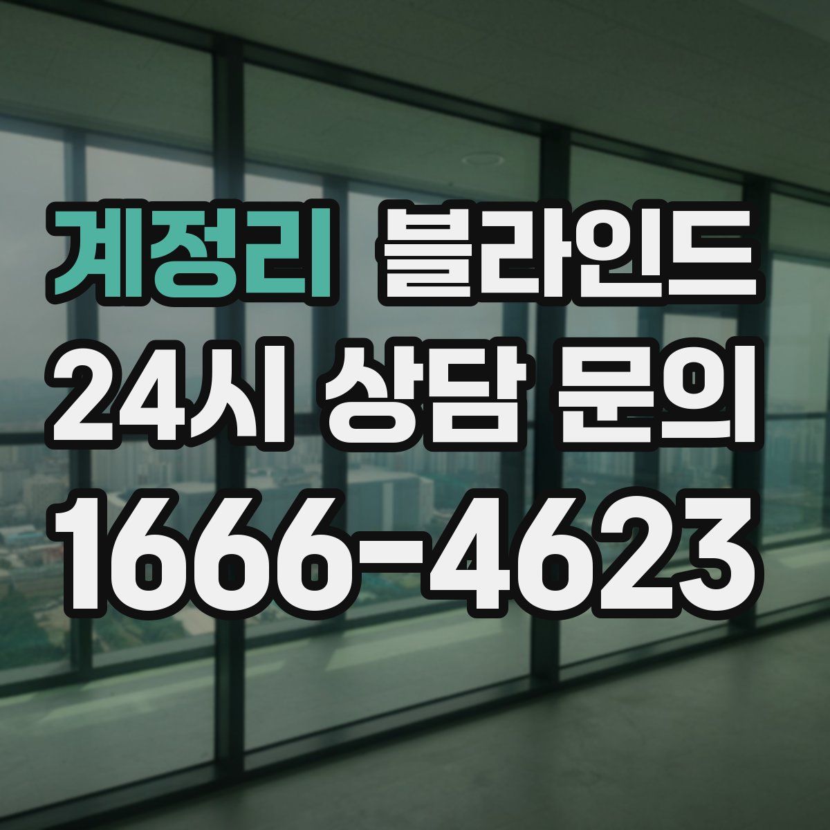 계정리 블라인드