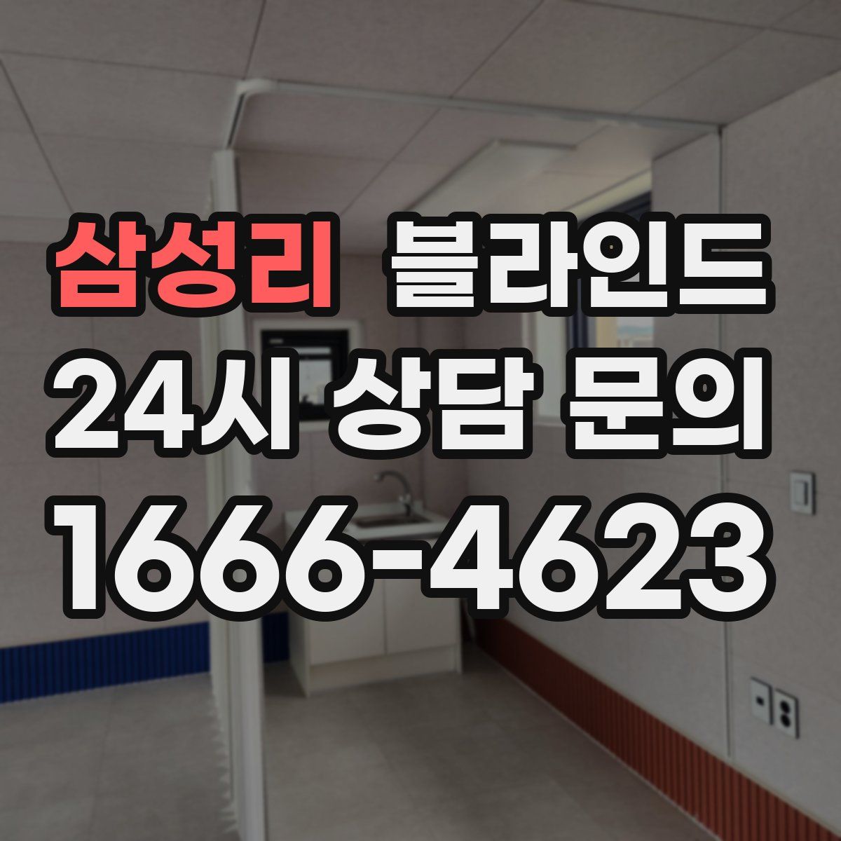 삼성리 블라인드