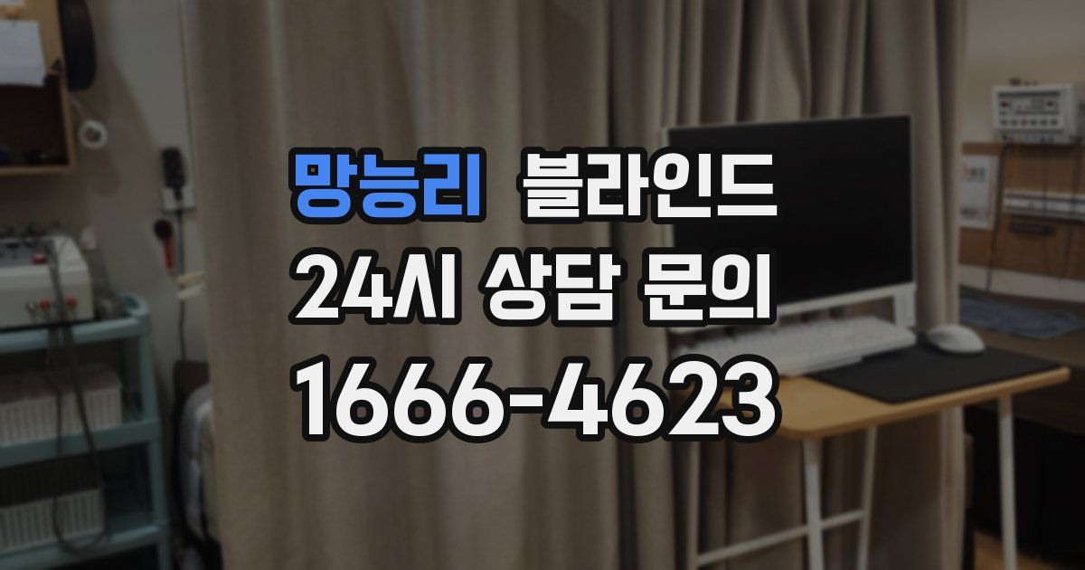 망능리 블라인드