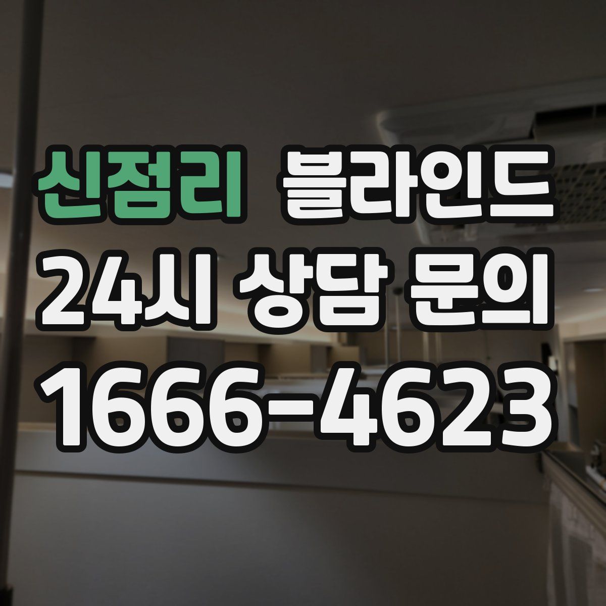 신점리 블라인드