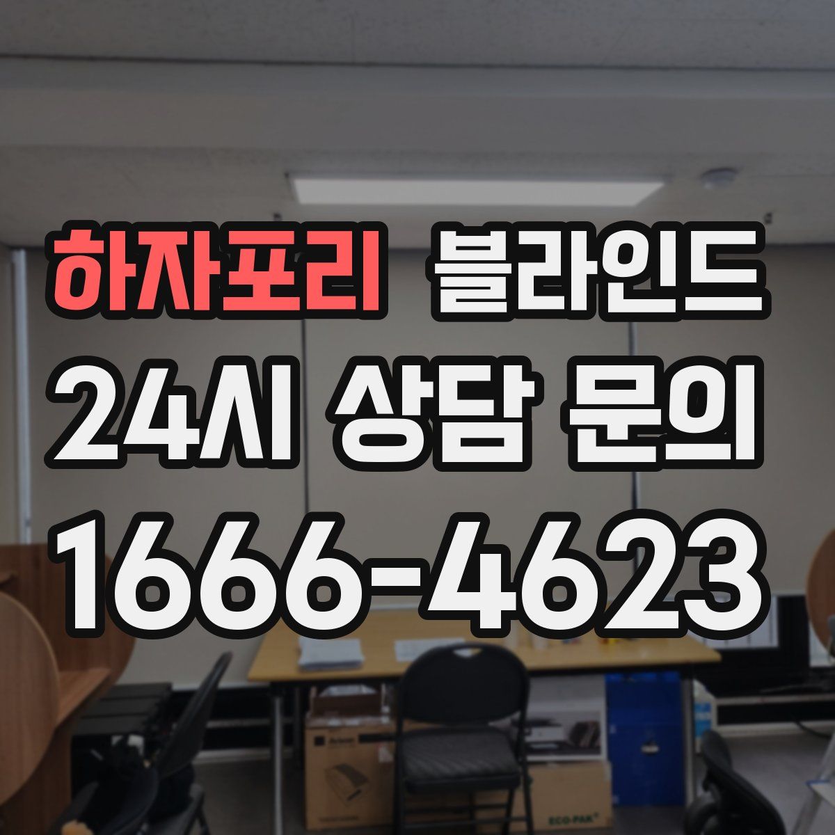하자포리 블라인드