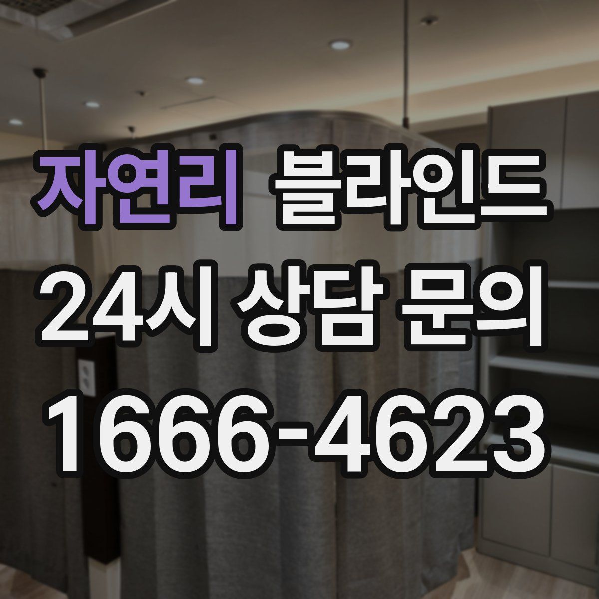 자연리 블라인드
