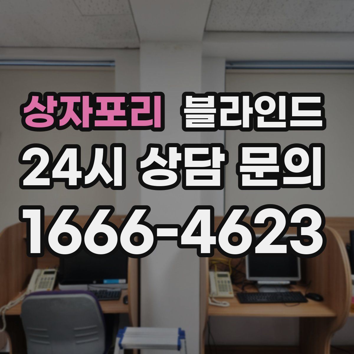 상자포리 블라인드