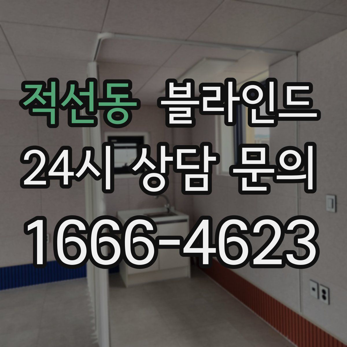 적선동 블라인드
