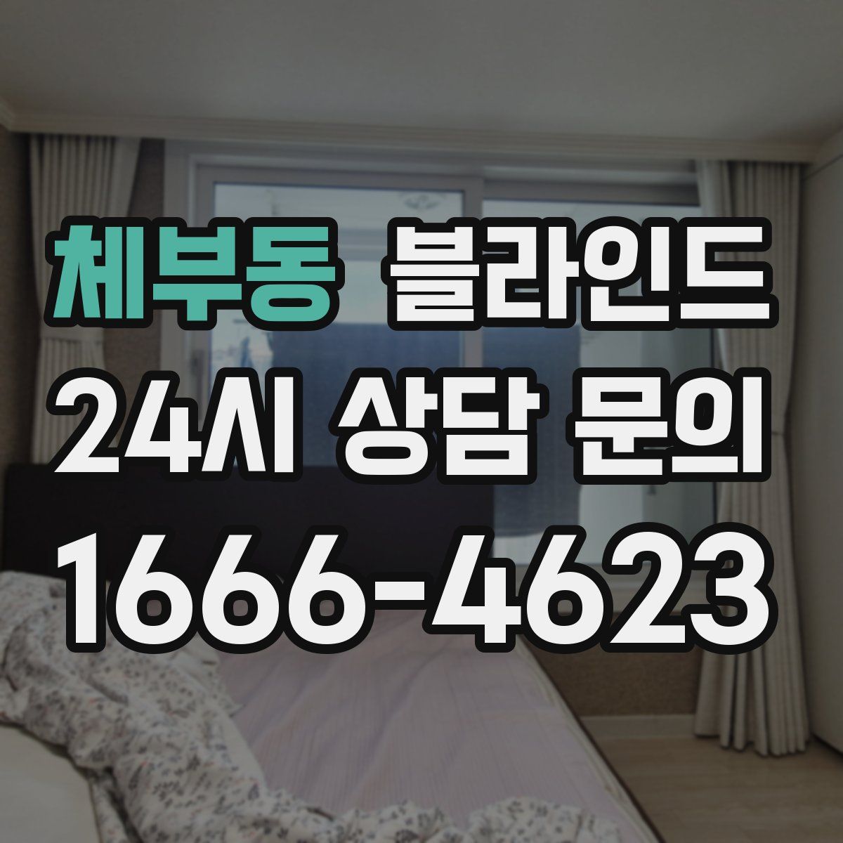 체부동 블라인드