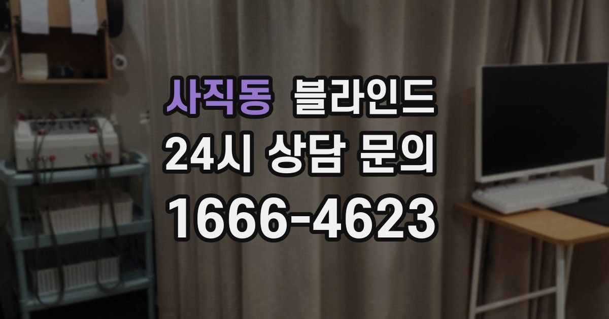 사직동 블라인드