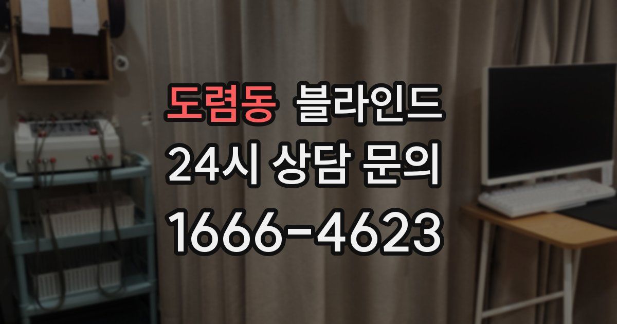 도렴동 블라인드