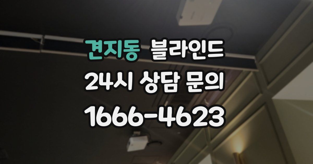 견지동 블라인드