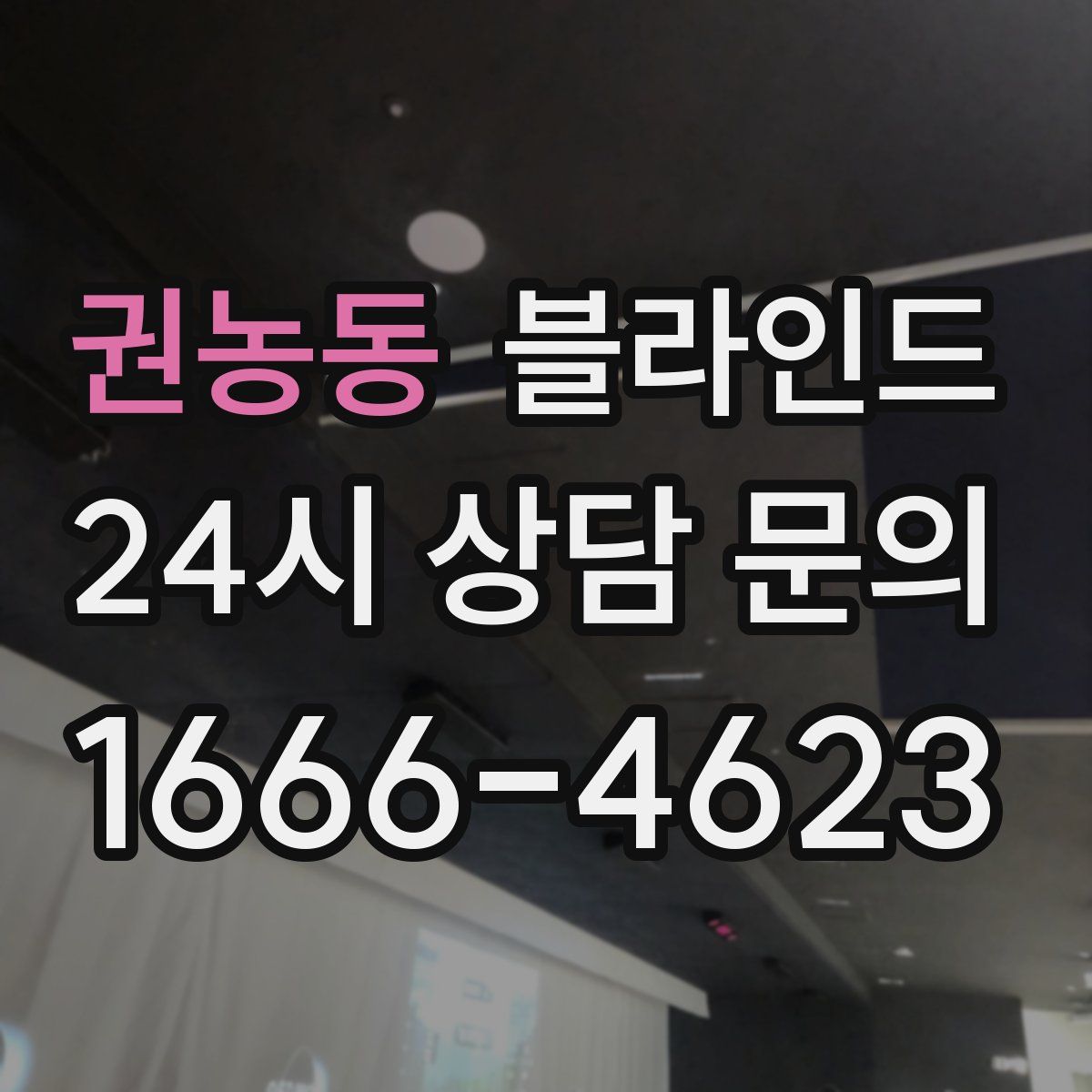 권농동 블라인드