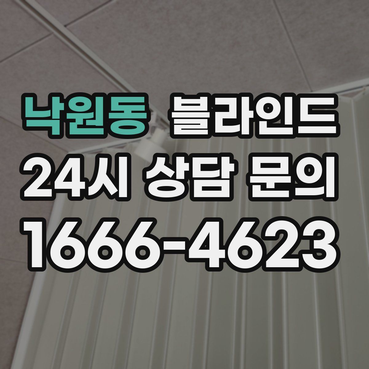 낙원동 블라인드