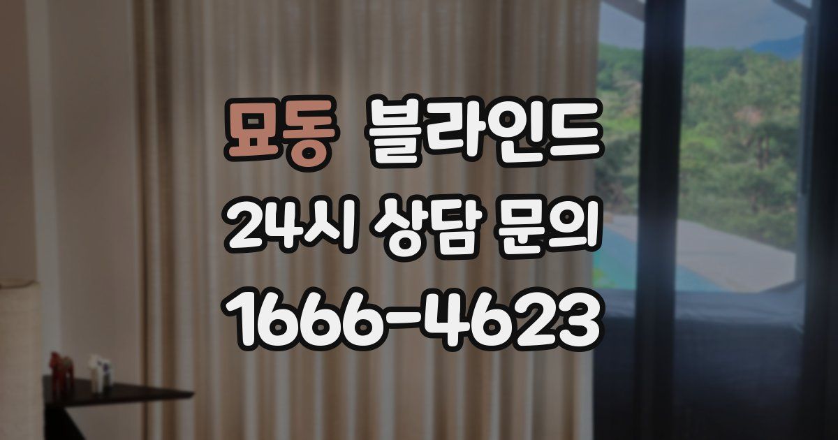 묘동 블라인드