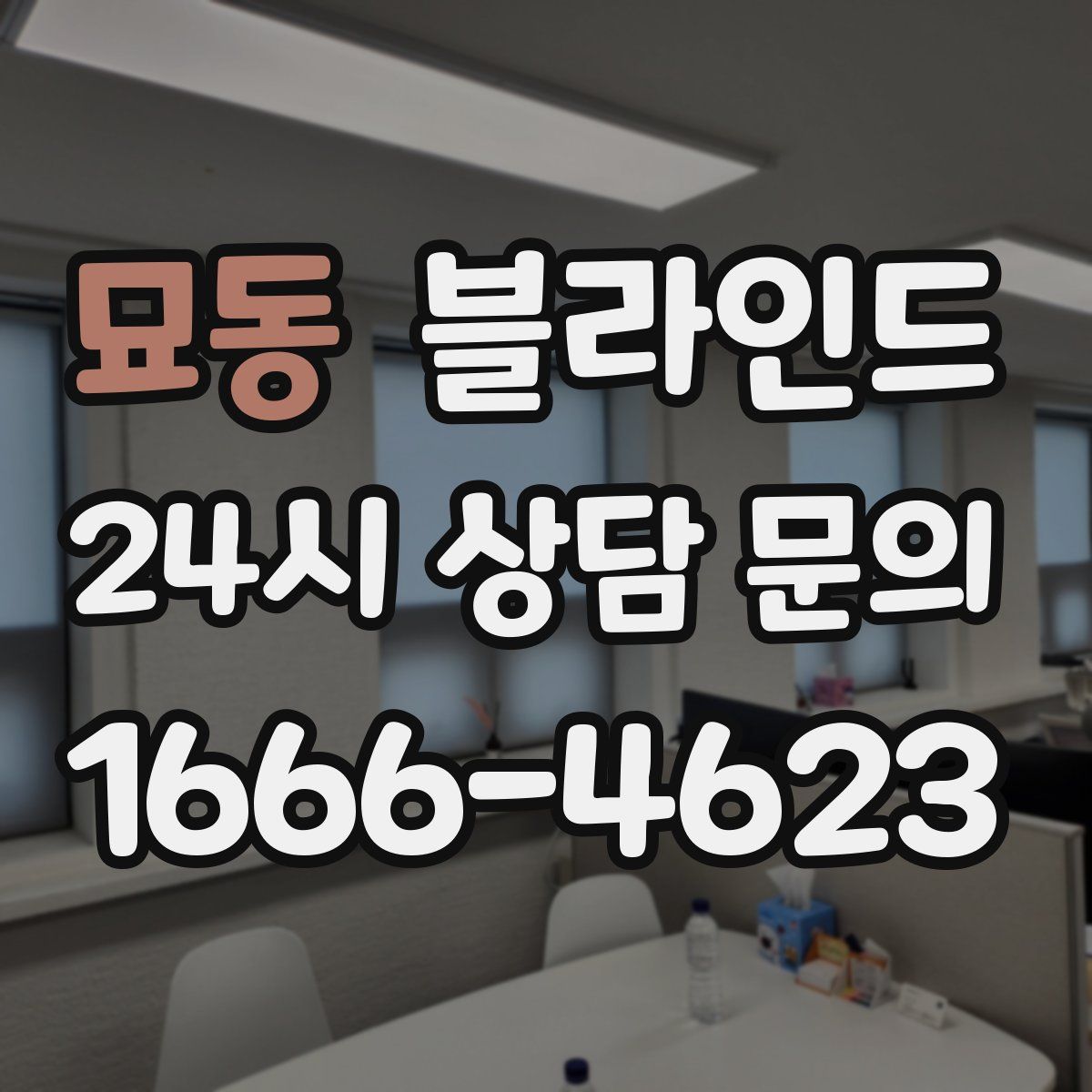 묘동 블라인드