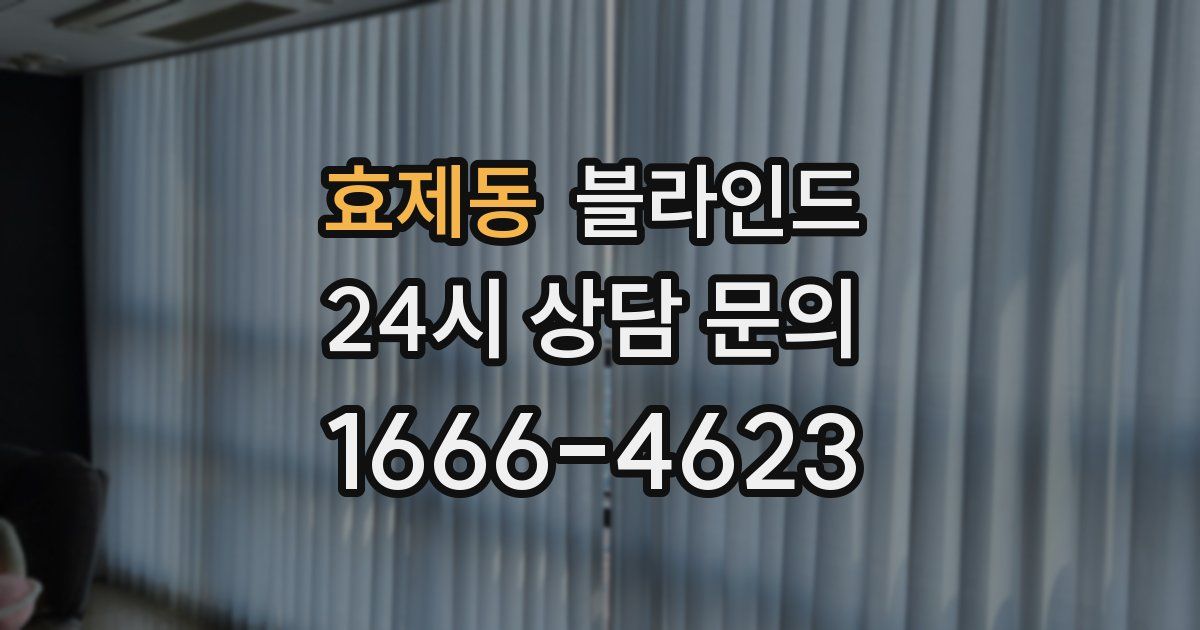 효제동 블라인드
