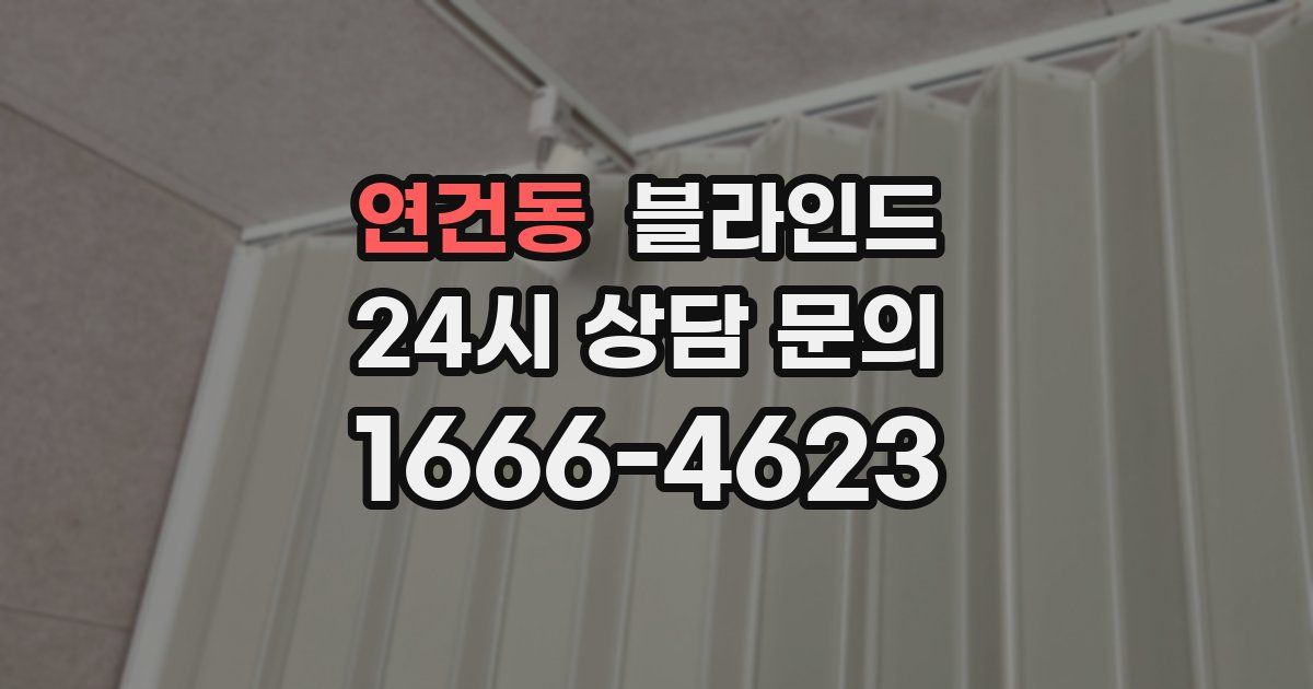 연건동 블라인드