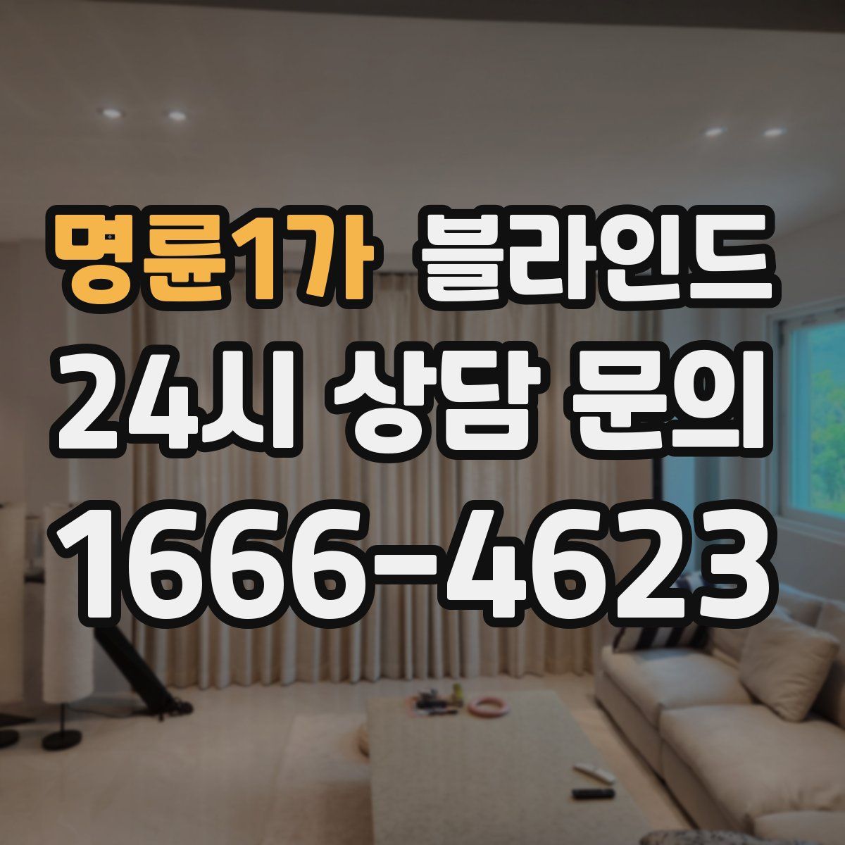 명륜1가 블라인드