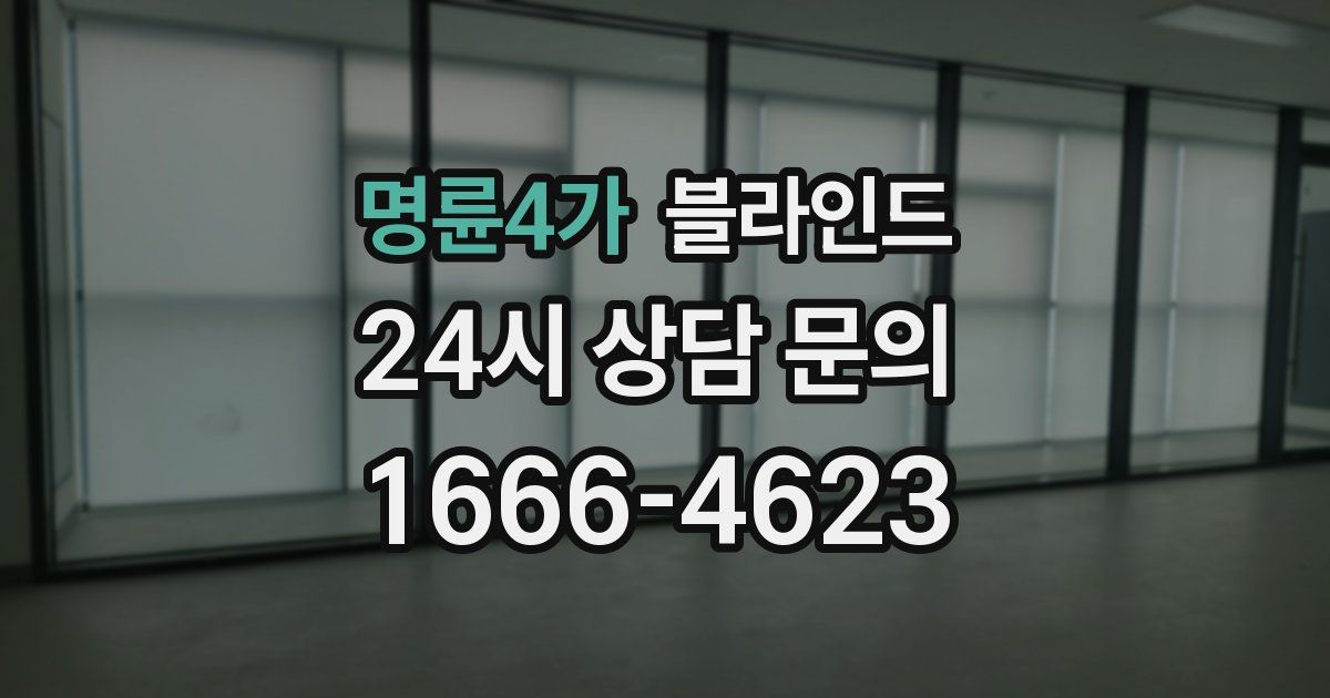 명륜4가 블라인드