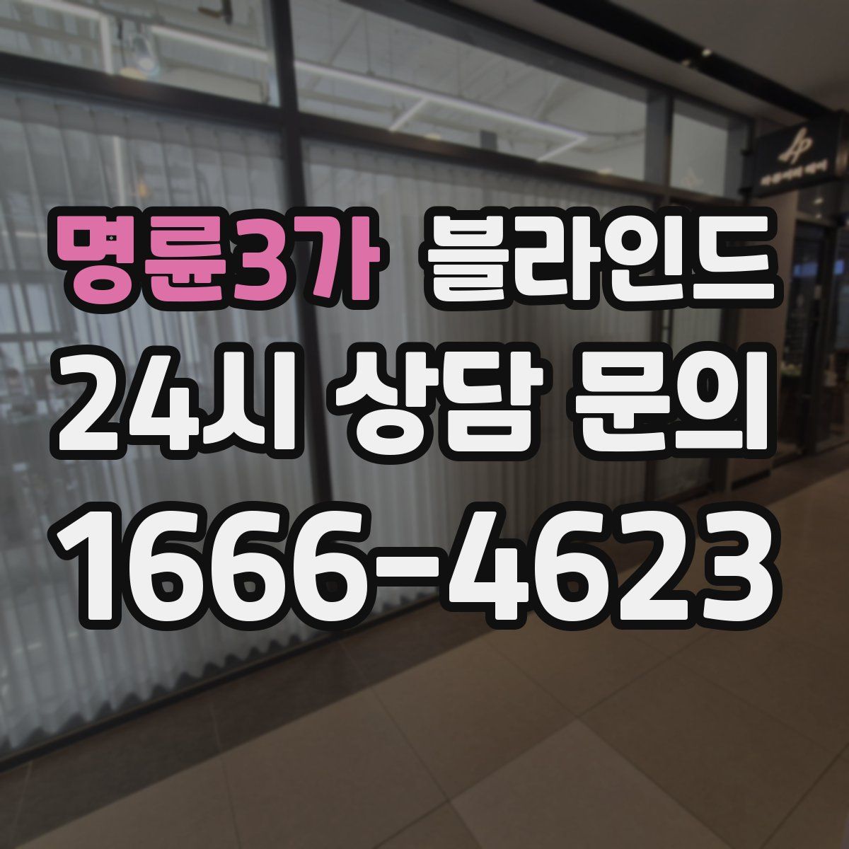 명륜3가 블라인드